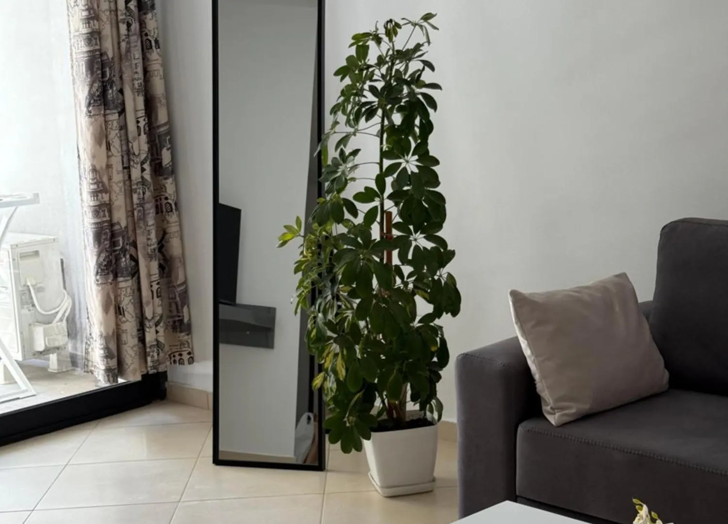 Marea Apartment Vlorë